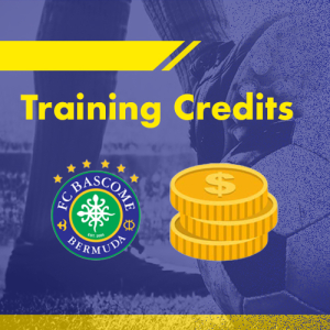 Training Credits